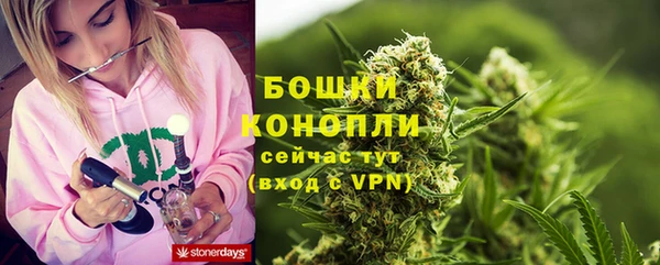 ешки Пересвет